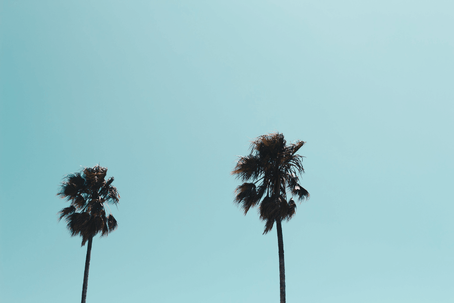 5 Best Places To Live In Costa Mesa [2023]